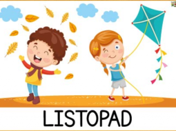 Akce v listopadu